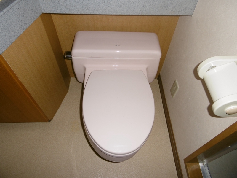 新潟ダイカンプラザ遊学館のトイレ写真