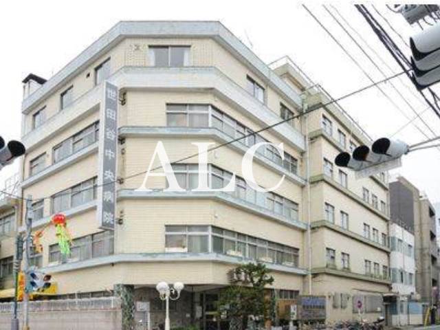 病院　さくら会世田谷中央病院（病院）まで272m