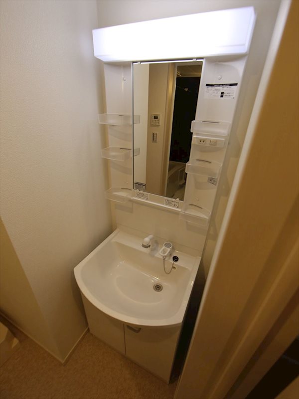 洗面設備　脱衣所　独立洗面台（シャンプードレッサー付）収納スペース有