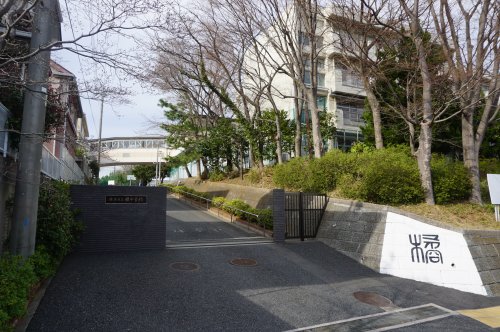 中学校　横浜市立橘中学校（中学校）まで1348m