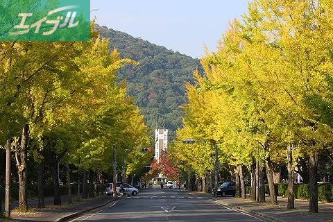大学・短大　国立岡山大学医学部（大学・短大）まで974m
