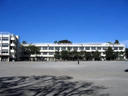 小学校　府中市立府中第六小学校（小学校）まで566m