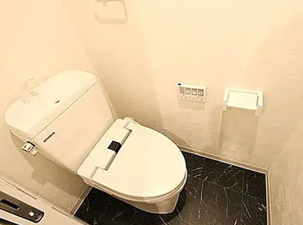 トイレ　別部屋の画像を使用しております。