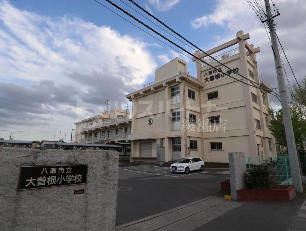 小学校　八潮市立大曽根小学校（小学校）まで330m