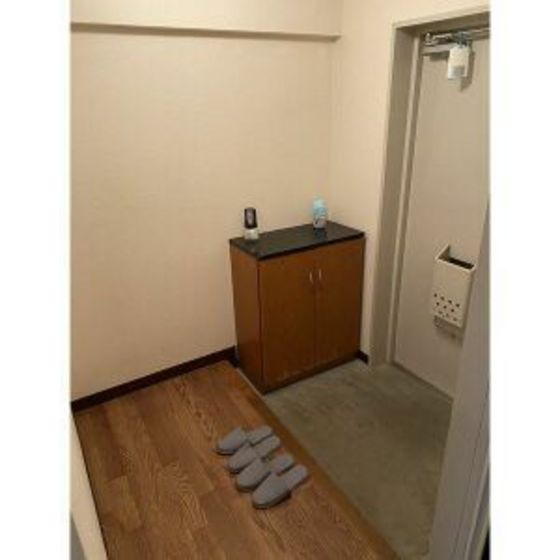 玄関　※同タイプ別部屋写真。現況優先※