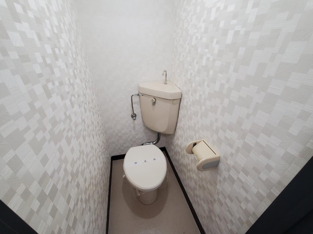ドウェリング斎藤10のトイレ写真