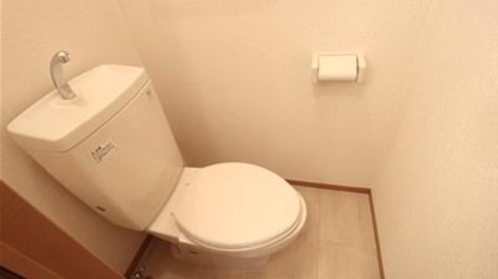 トイレ　トイレも気になるポイント