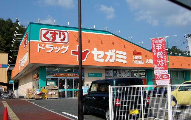 その他　ドラッグセガミ大町店まで876ｍ