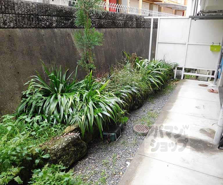 バルコニー　庭