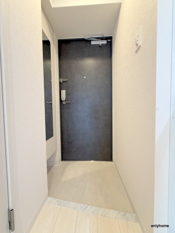 エスリード大阪NEXUSの玄関写真