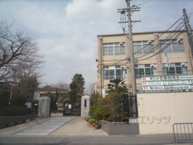 中学校　蜂ヶ岡中学校（中学校）まで1000m