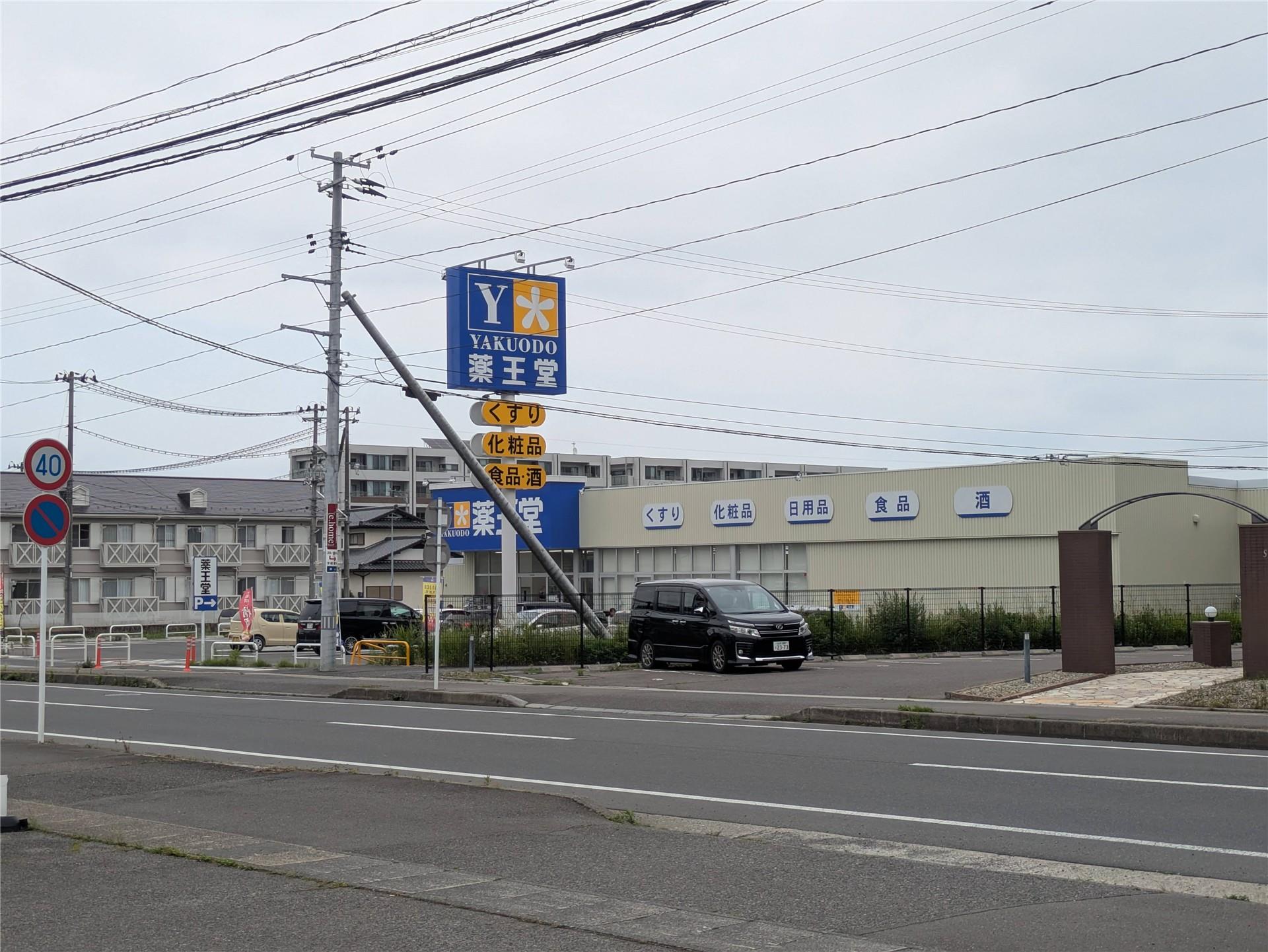 ドラックストア　薬王堂白河高山店（ドラッグストア）まで1133m