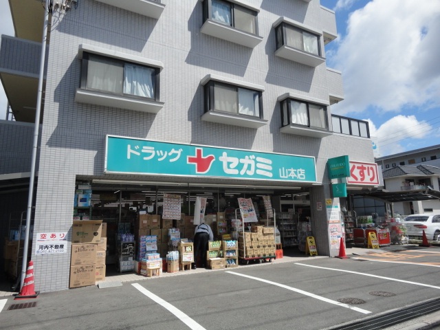 ドラックストア　ドラッグセガミ山本店（ドラッグストア）まで640m