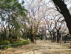 公園　駒込東公園（公園）まで570m
