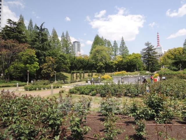 公園　靱公園（公園）まで1465m