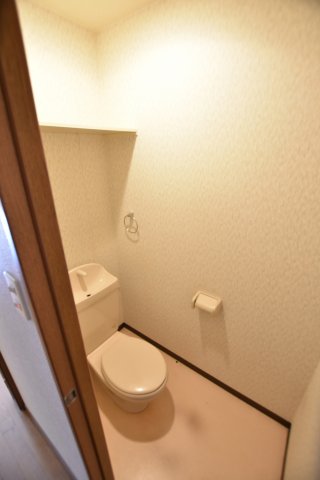南海高野線 北野田駅 徒歩18分 2階建 築19年のトイレ写真