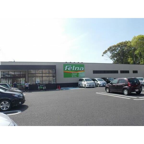 その他　【スーパー】フェルナ井上店まで356m