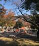 公園　梶ケ谷第一公園（公園）まで785m