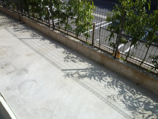 庭