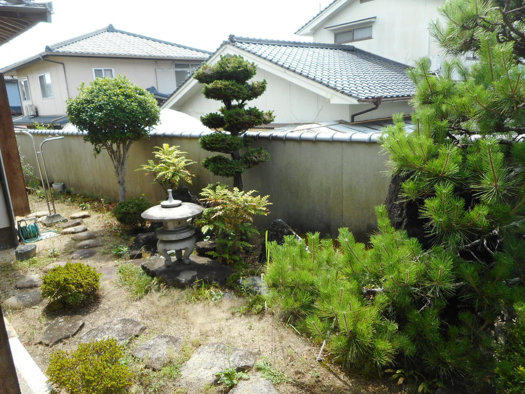 庭