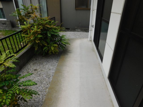 庭