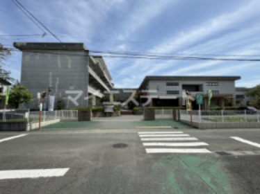 小学校　八代市立麦島小学校（小学校）まで242m