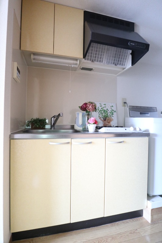 キッチン　家具・家電は付きません。