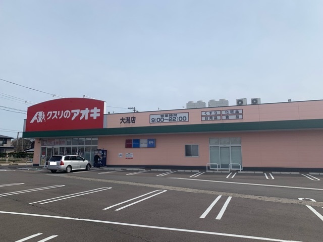 【サニー潟町のドラックストア】