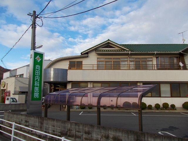 病院　向田内科医院（病院）まで500m