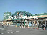 スーパー　ニシナフードバスケット西大寺店（スーパー）まで334m