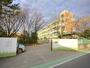 小学校　川口市立前川東小学校（小学校）まで442m