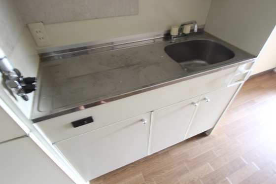 キッチン　※写真は別号室です