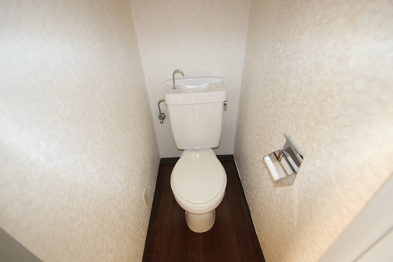 トイレ　※写真は別号室です