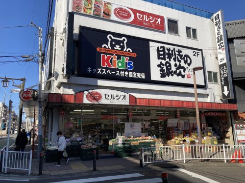 スーパー　スーパーマーケット セルシオ 和田町店（スーパー）まで217m