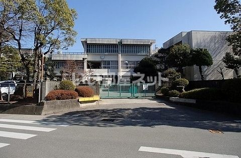小学校　八万南小学校（小学校）まで448m