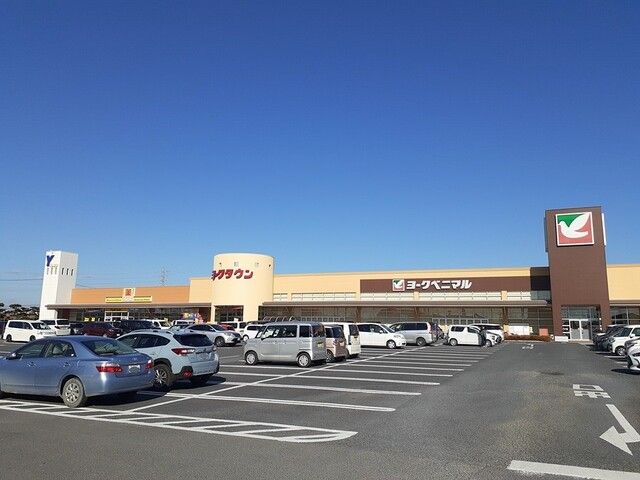 スーパー　ヨークベニマルひたちなか店（スーパー）まで1200m