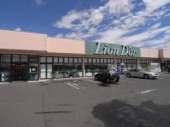 スーパー　リオン・ドール 高根沢店（スーパー）まで1447m