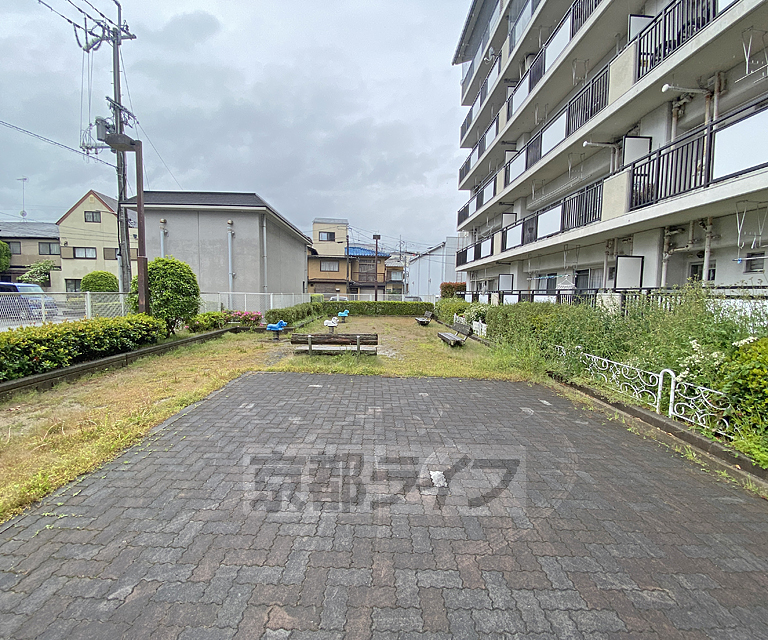 庭