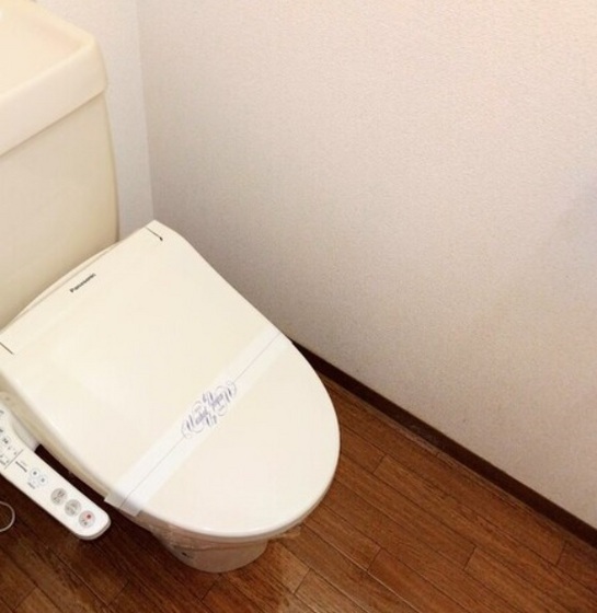トイレ　他号室のお写真です