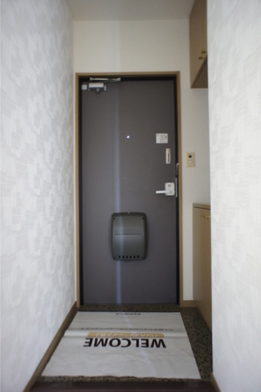 玄関　図面と現状に相違がある場合には現状を優先