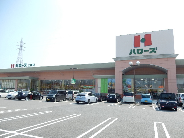 スーパー　ハローズ江崎店（スーパー）まで1100m