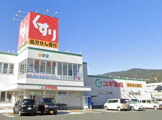 ドラックストア　スギ薬局新城店（ドラッグストア）まで355m