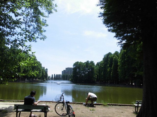 公園　さいたま市営別所沼公園（公園）まで1194m