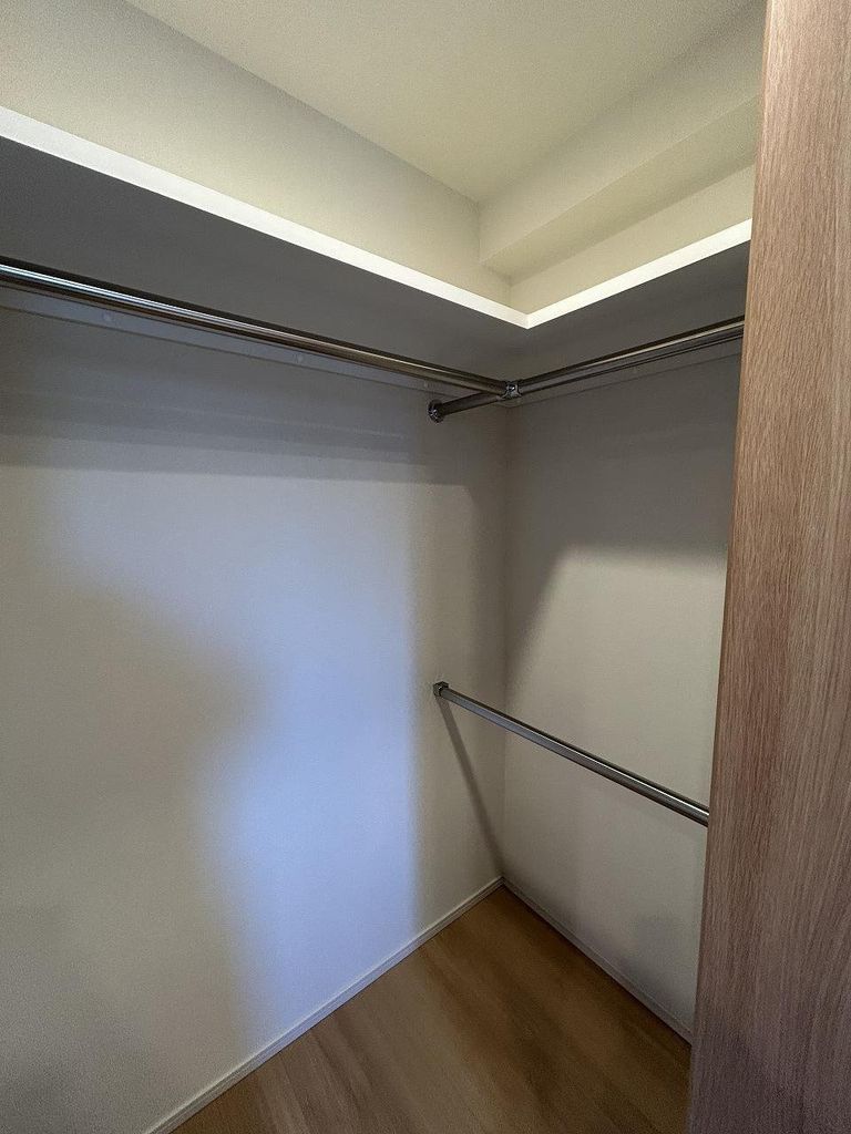 収納　ウォークインクローゼット