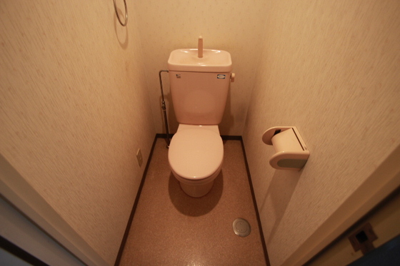 トイレ　※別部屋の写真です
