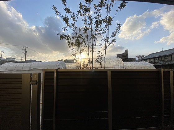 眺望　※別号室のお写真です