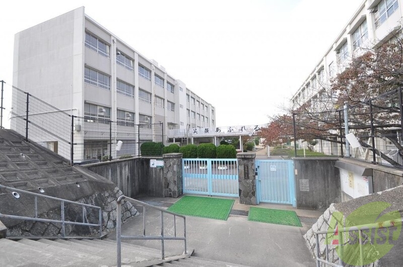 小学校　神戸市立多聞南小学校（小学校）まで796m