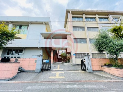 高校・高専　大阪府立住吉高校（高校・高専）まで570m