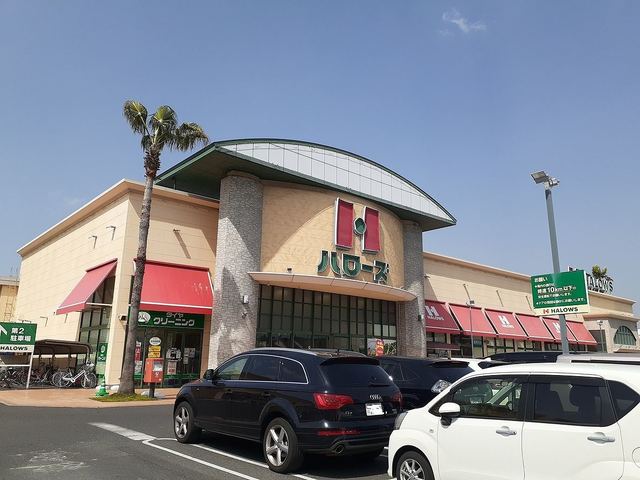 スーパー　ハローズ当新田店（スーパー）まで550m