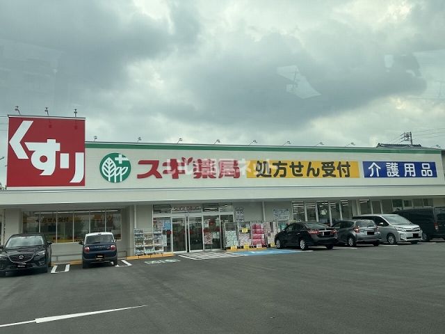 ドラックストア　スギ薬局極楽店（ドラッグストア）まで254m